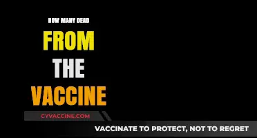 Vaccine-Related Deaths: Separating Facts from Misinformation and Fear