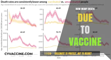 Vaccine-Related Deaths: Separating Facts from Misinformation and Myths