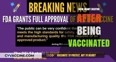 Vaccine Safety: Addressing Concerns About Post-Vaccination Deaths