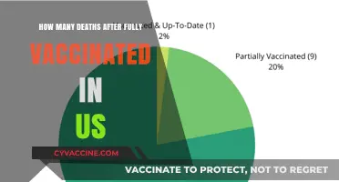 Fully Vaccinated Deaths in the US: Analyzing Post-Vaccination Fatalities