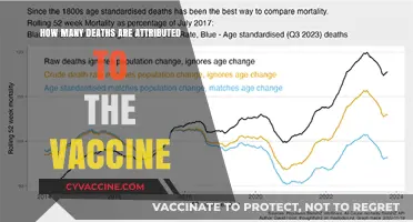 Vaccine-Related Deaths: Separating Facts from Misinformation and Myths