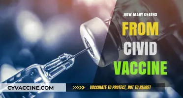 COVID-19 Vaccine Deaths: Separating Facts from Misinformation and Fears