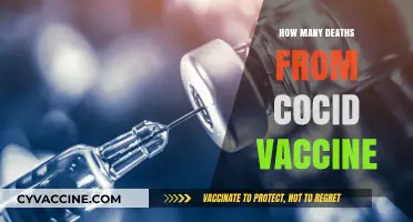 COVID-19 Vaccine Deaths: Separating Facts from Misinformation and Fears