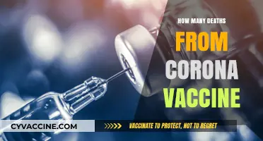 COVID-19 Vaccine Safety: Analyzing Reported Deaths and Rare Cases