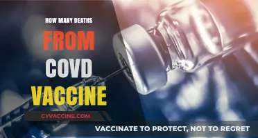 COVID-19 Vaccine Deaths: Separating Facts from Misinformation and Fears