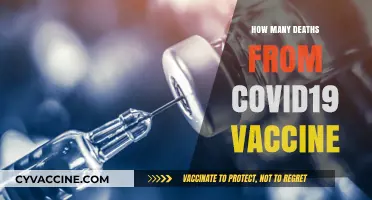 COVID-19 Vaccine Deaths: Separating Facts from Misinformation and Fears
