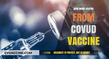 COVID-19 Vaccine Deaths: Separating Facts from Misinformation and Fears