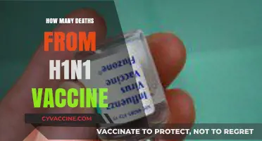 H1N1 Vaccine Safety: Debunking Myths About Fatalities and Risks
