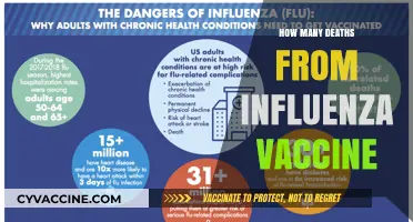 Influenza Vaccine Safety: Debunking Myths About Fatalities and Risks