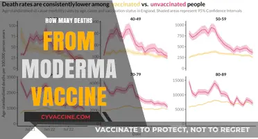 Moderna Vaccine Safety: Examining Reported Deaths and Concerns