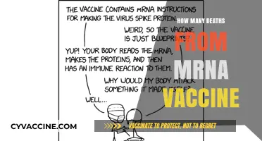Unveiling the Truth: mRNA Vaccine-Related Deaths Examined