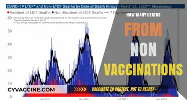 Non-Vaccination Deaths: Understanding the Impact of Vaccine Avoidance