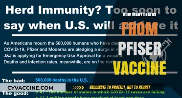 Pfizer Vaccine Deaths: Separating Facts from Misinformation and Fears