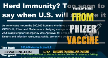 Pfizer Vaccine Deaths: Separating Facts from Misinformation and Fears
