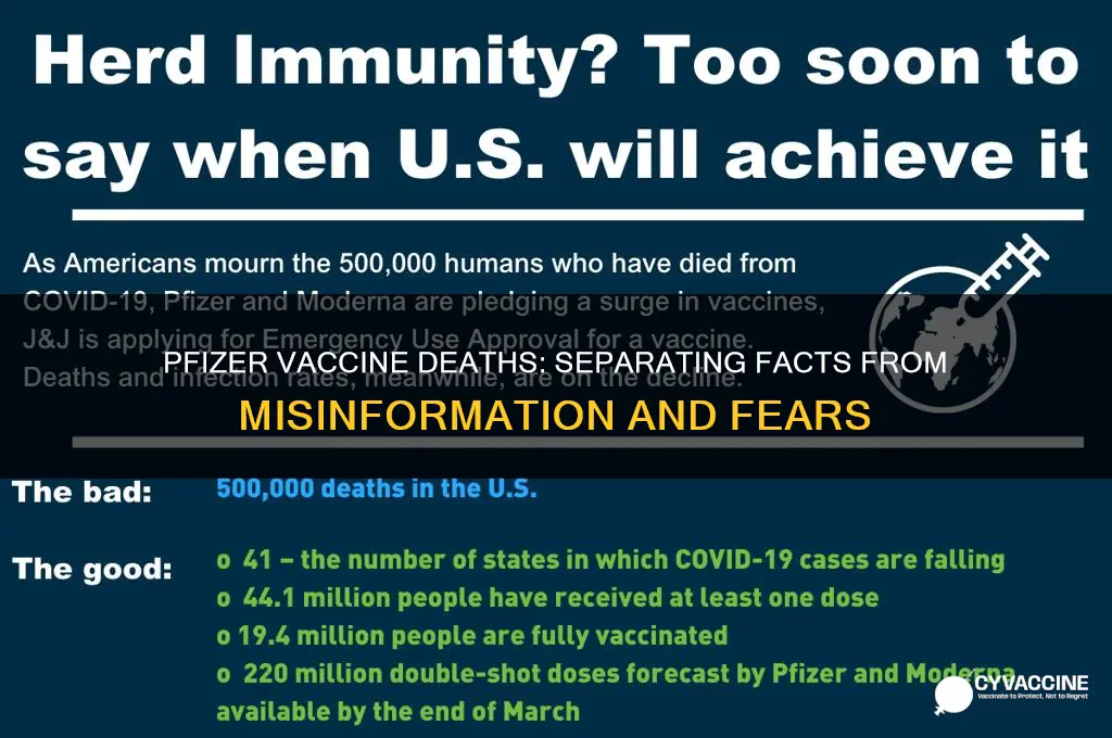 how many deaths from phizer vaccine