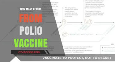 Polio Vaccine Safety: Debunking Myths About Fatalities and Risks