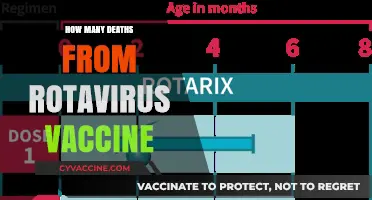 Rotavirus Vaccine Safety: Debunking Myths About Mortality Rates