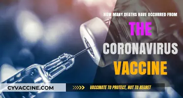 Coronavirus Vaccine Safety: Analyzing Reported Deaths and Rare Cases
