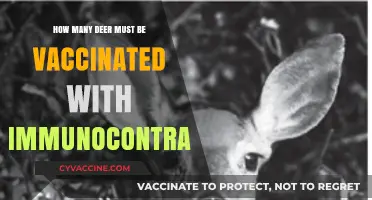 Balancing Wildlife Populations: Immunocontraceptive Vaccination Strategies for Deer Management