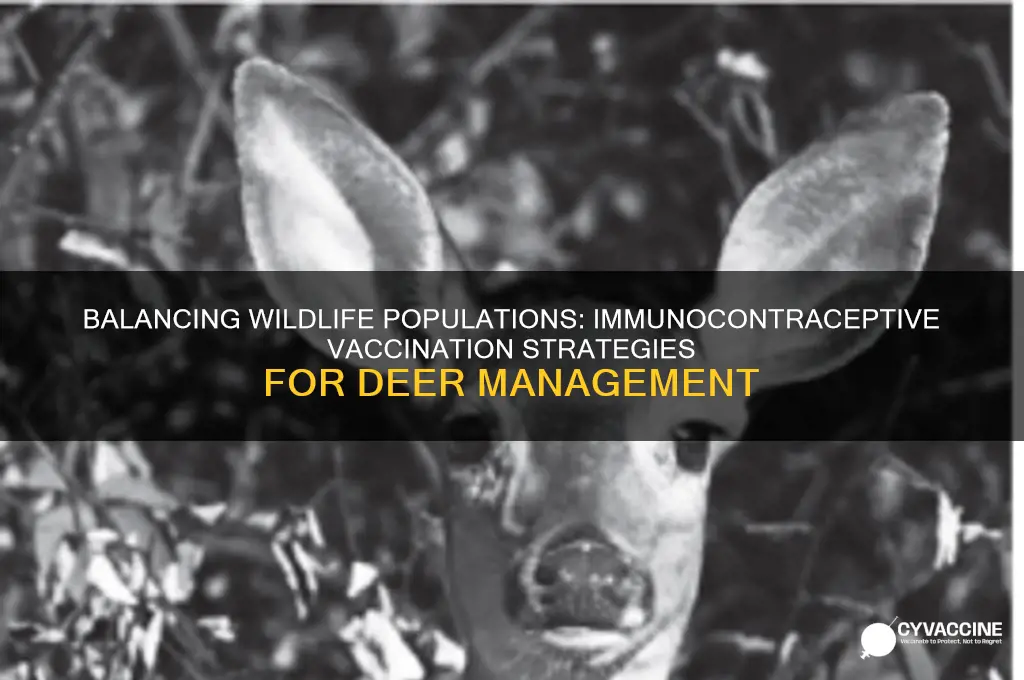 how many deer must be vaccinated with immunocontraceptives