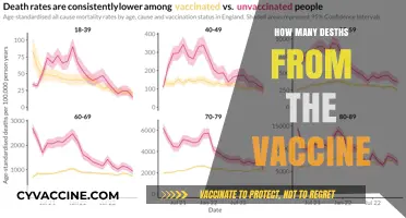 Vaccine-Related Deaths: Separating Facts from Misinformation and Fears