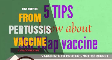Pertussis Vaccine Safety: Debunking Myths About Fatalities and Risks