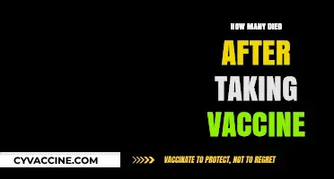 Vaccine-Related Deaths: Separating Facts from Misinformation and Myths