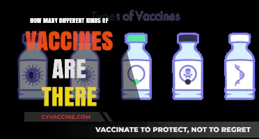 Exploring the Diverse World of Vaccines: Types and Purposes
