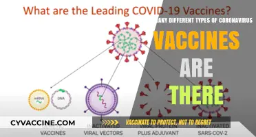 Exploring the Diverse Types of Coronavirus Vaccines Available Today