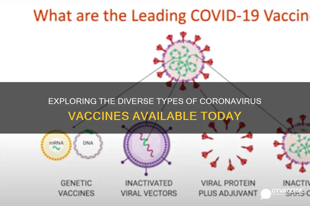 how many different types of coronavirus vaccines are there