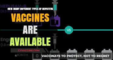Exploring the Variety of Hepatitis Vaccines: Types and Availability