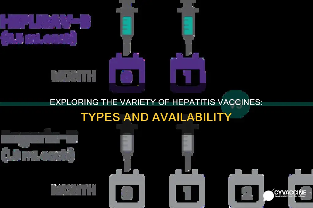 how many different types of hepatitis vaccines are available