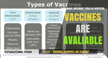 Exploring the Varieties of Hepatitis Vaccines: A Comprehensive Guide