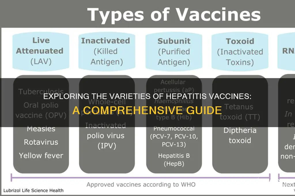 how many different types of hepititus vaccines are avaliable
