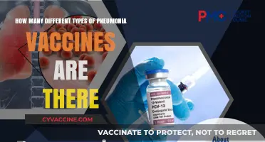 Exploring the Variety of Pneumonia Vaccines Available Today