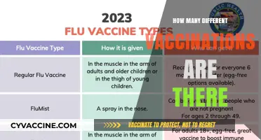 Exploring the Diverse World of Vaccinations: Types and Purposes