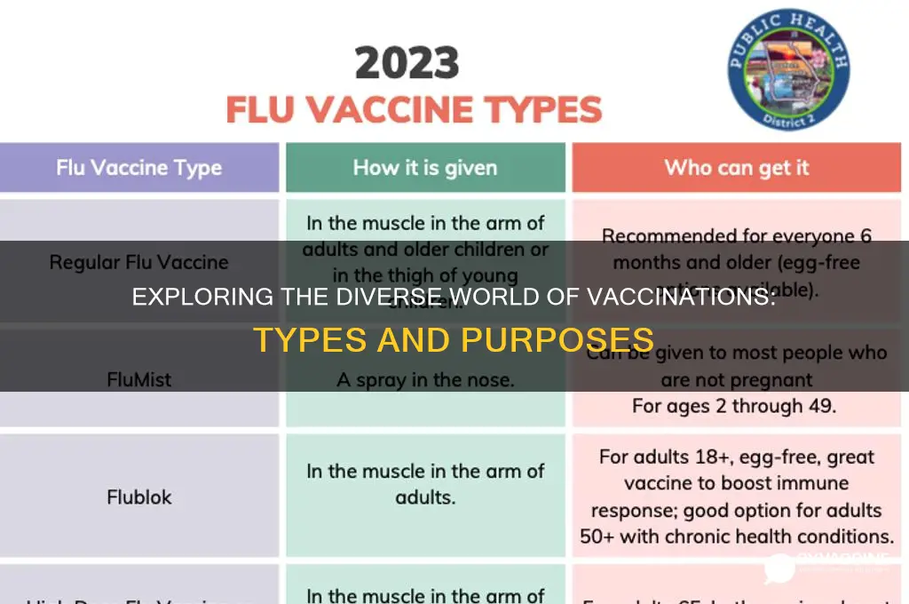 how many different vaccinations are there