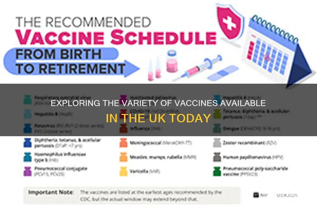 how many different vaccines are available in the uk