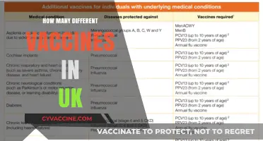 Exploring the Diverse Range of Vaccines Available in the UK