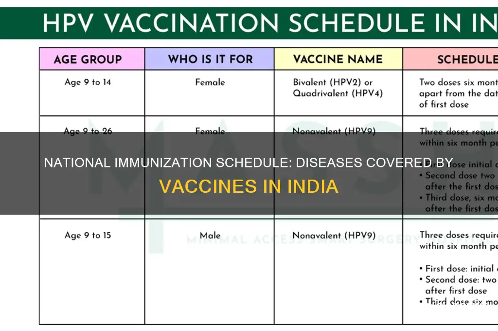 how many diseases are vaccinated in national immunization schedule