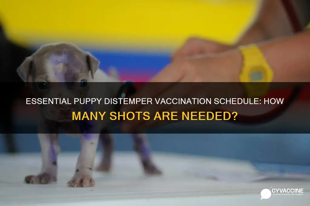 how many distemper vaccines for puppy
