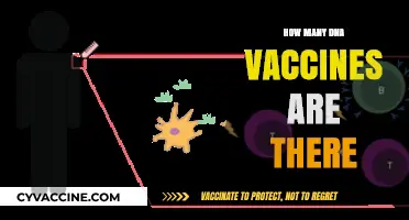 Exploring the Current Count of DNA Vaccines in Development