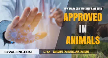 Approved DNA Vaccines in Animals: Current Count and Applications