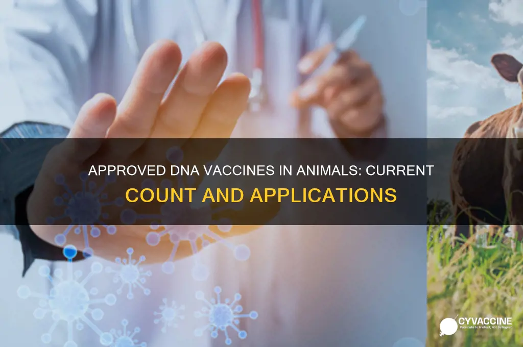 how many dna vaccines have been approved in animals