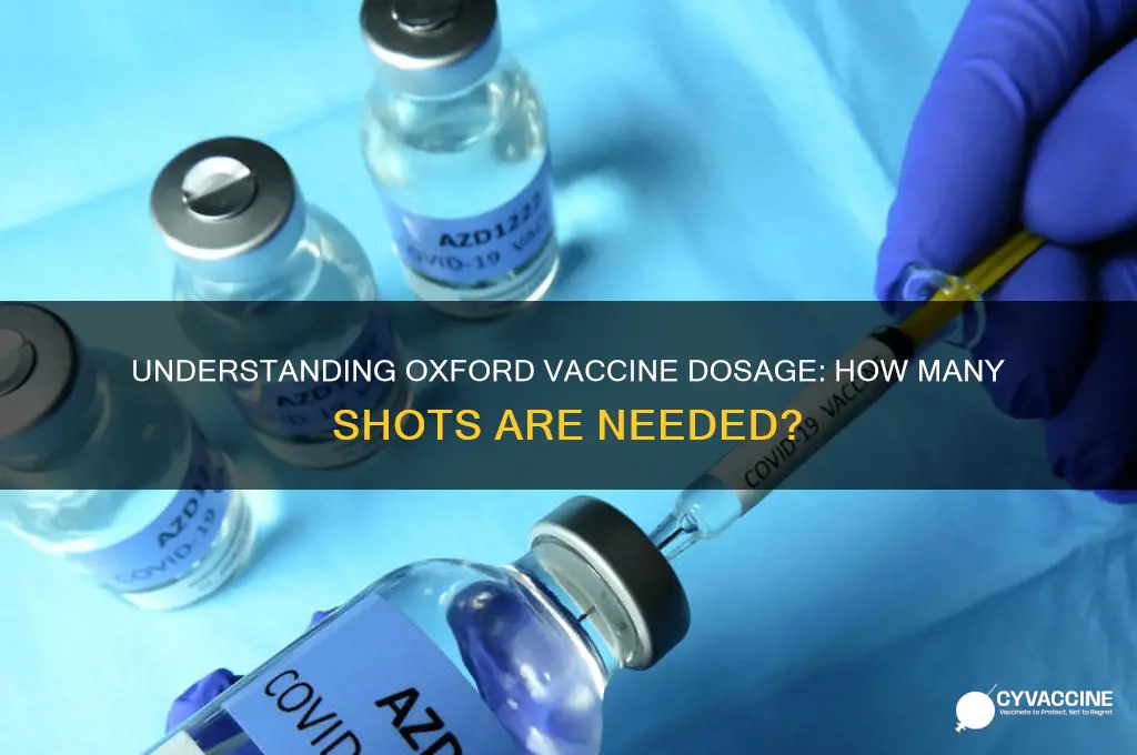 how many does of oxford vaccine