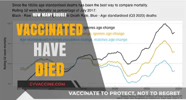 Double Vaccinated Deaths: Analyzing COVID-19 Breakthrough Fatalities Post-Vaccination