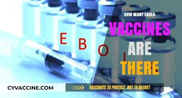 Exploring the Available Ebola Vaccines: Types, Effectiveness, and Global Use