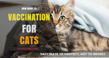 F3 Vaccination for Cats: Essential Doses and Schedule Explained