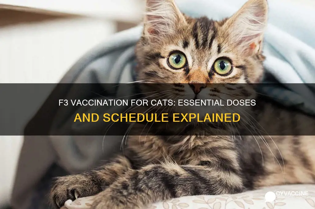 how many f3 vaccination for cats