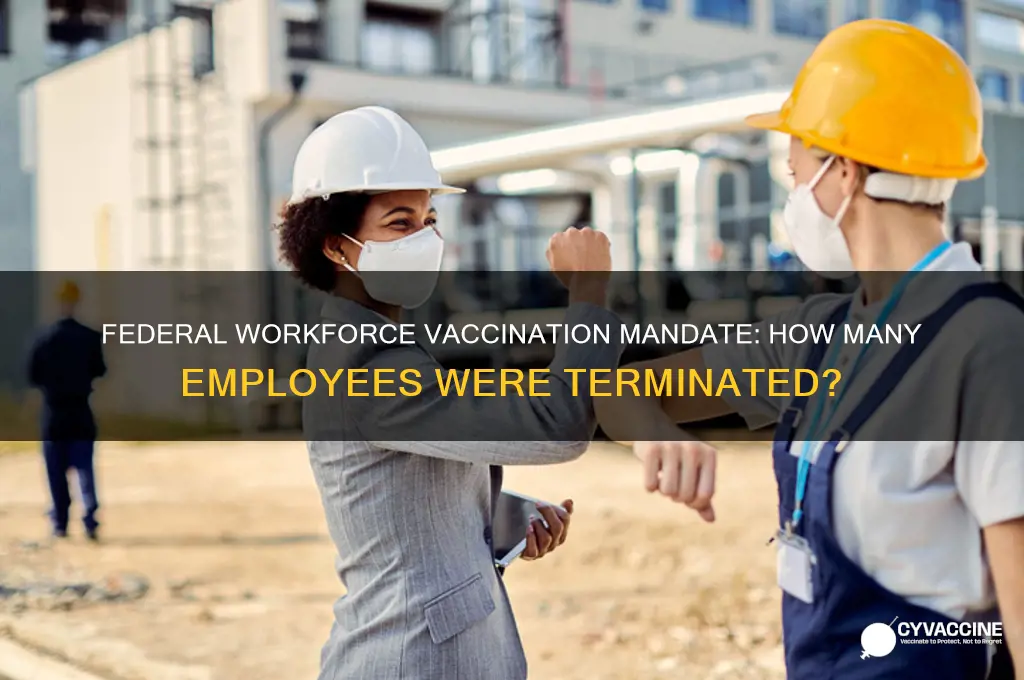 how many federal employees were fired for not being vaccinated